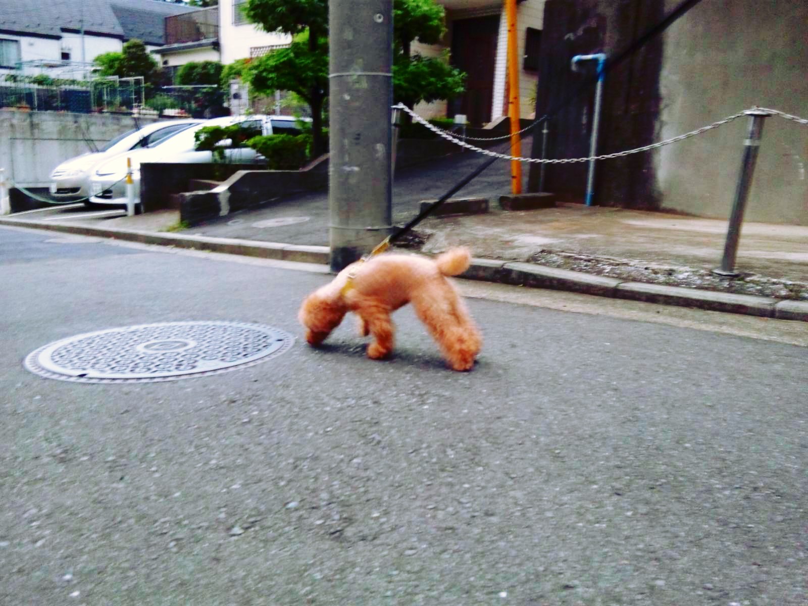 ȂŁH