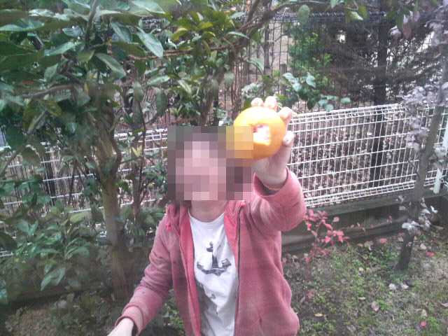 ݂