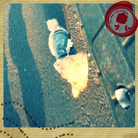 ̎UB